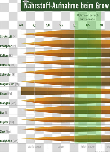 Growreport Bild 1