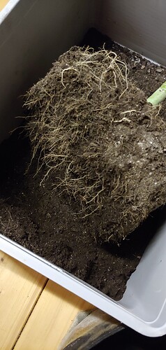 Growreport Bild 8