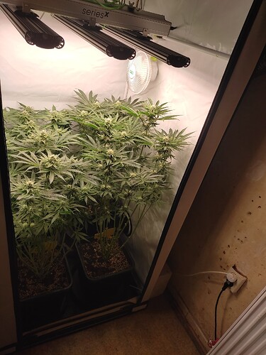 Growreport Bild 22