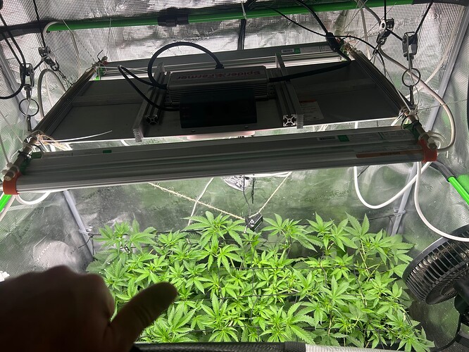 Growreport Bild 15