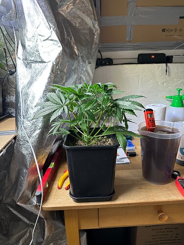 Growreport Bild 22