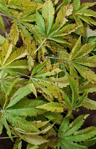 Growreport Bild 21