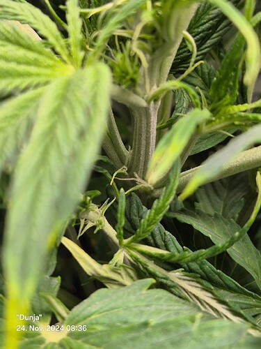 Growreport Bild 9