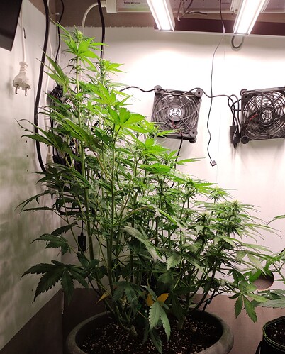 Growreport Bild 5