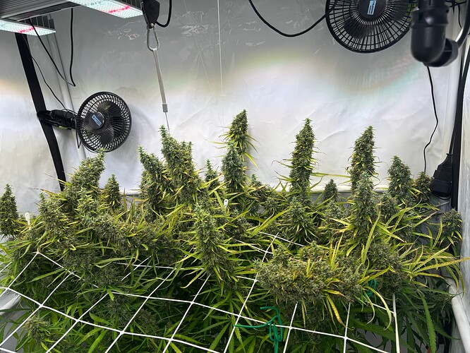 Growreport Bild 1