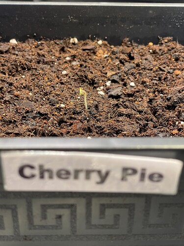 Growreport Bild 5