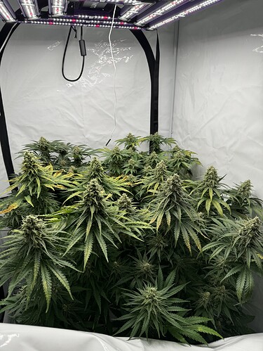 Growreport Bild 8