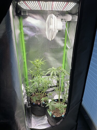 Growreport Bild 6