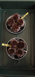 Growreport Bild 2