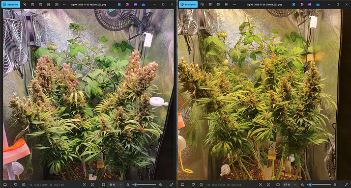 Growreport Bild 4
