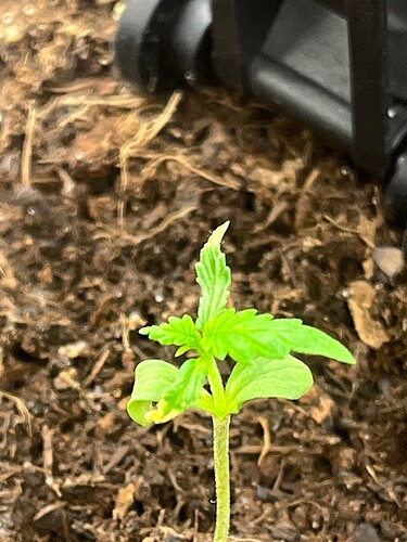Growreport Bild 7