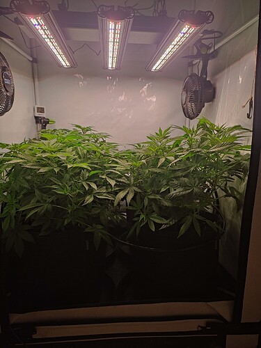 Growreport Bild 3