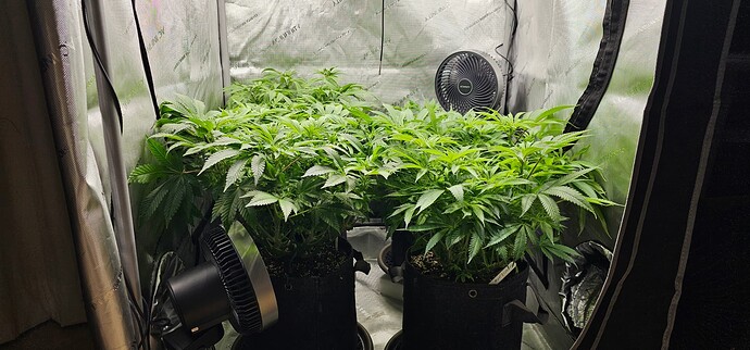 Growreport Bild 23