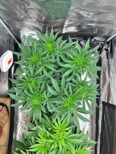 Growreport Bild 17