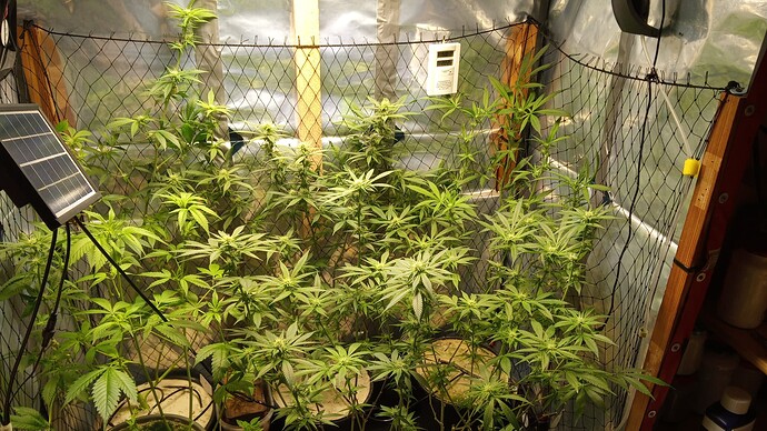 Growreport Bild 1