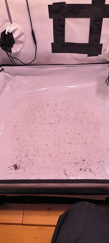Growreport Bild 10