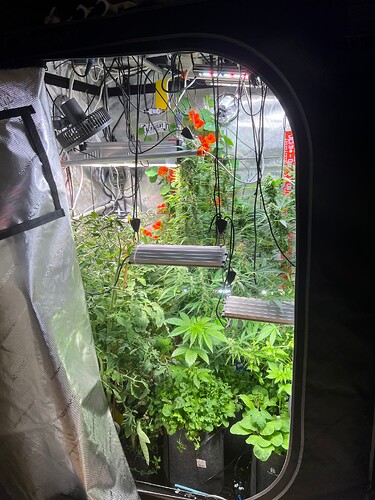 Growreport Bild 14