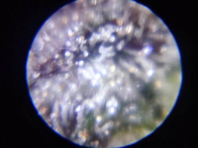 Growreport Bild 70