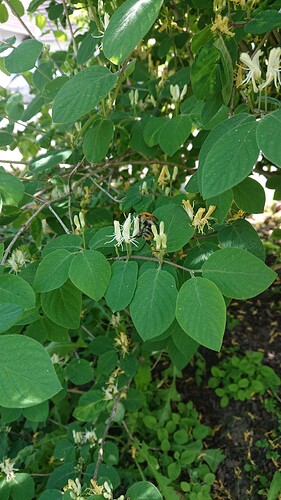 Growreport Bild 39