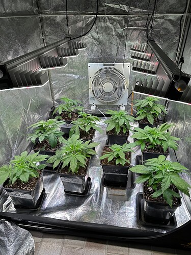 Growreport Bild 63