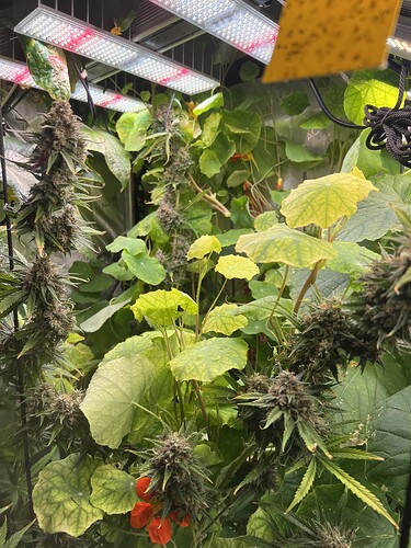 Growreport Bild 23