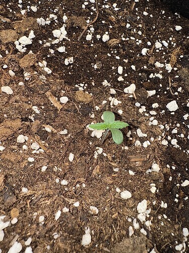 Growreport Bild 22