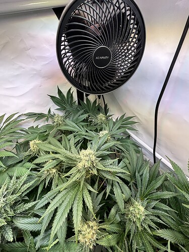 Growreport Bild 7