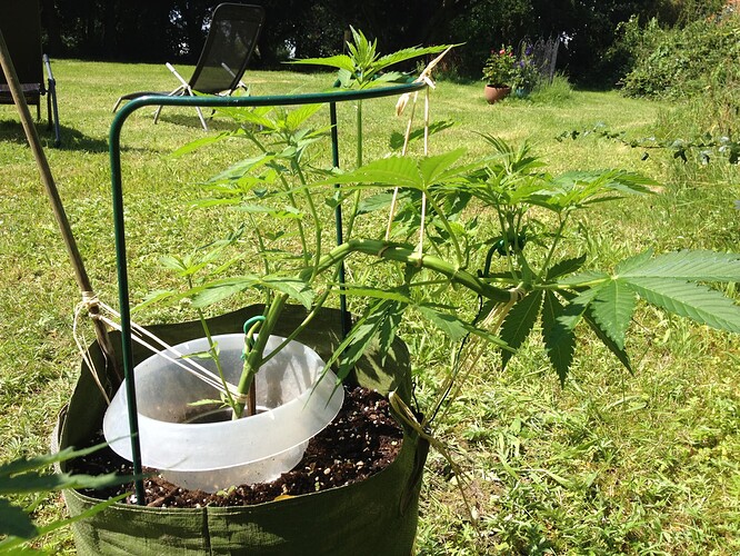 Growreport Bild 21