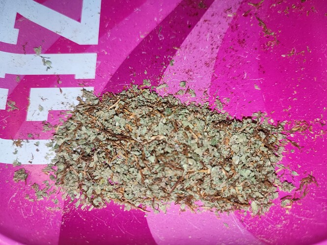 Growreport Bild 6