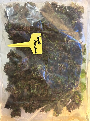 Growreport Bild 68
