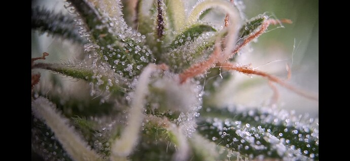Growreport Bild 18