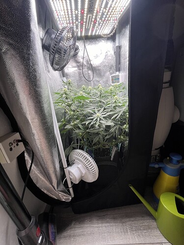 Growreport Bild 9
