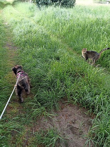 WhatsApp Bild 2025-05-25 um 20.43.43_690b309e