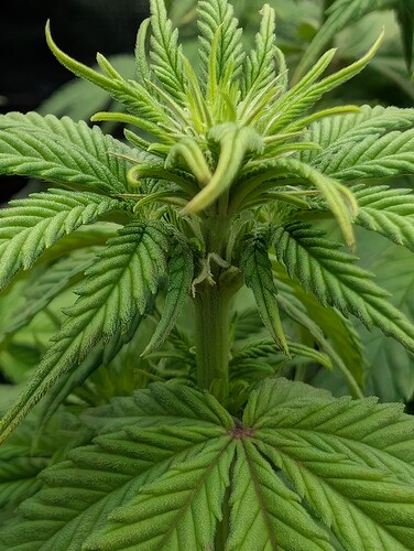 Growreport Bild 13