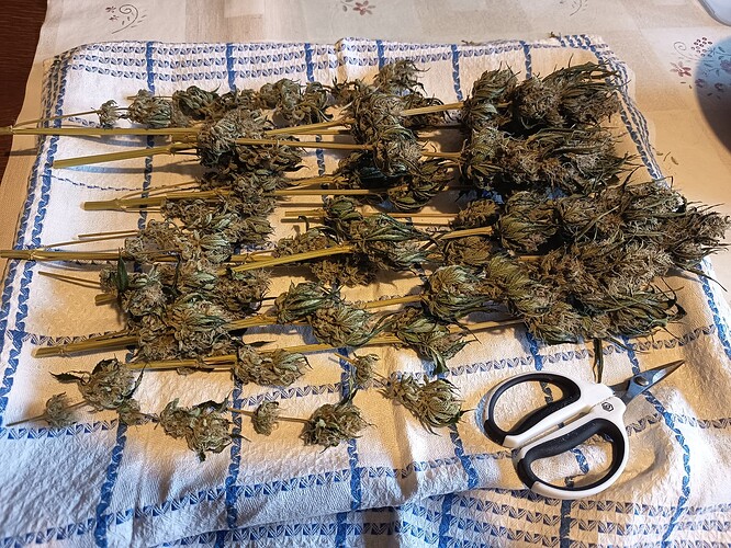 Growreport Bild 55