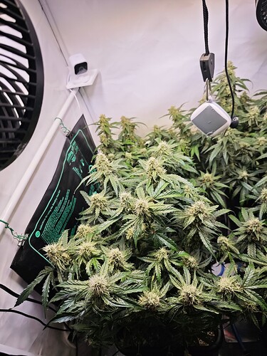 MVIMG_20251112_212300