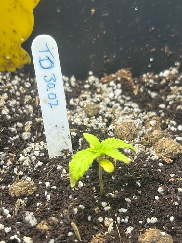 Growreport Bild 4