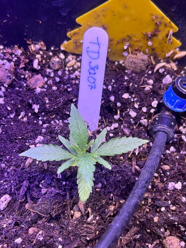 Growreport Bild 24