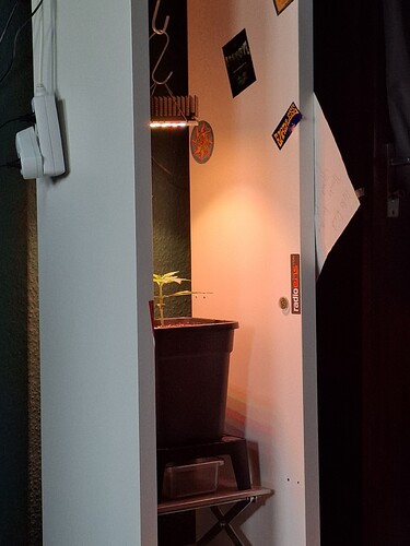 Growreport Bild 4