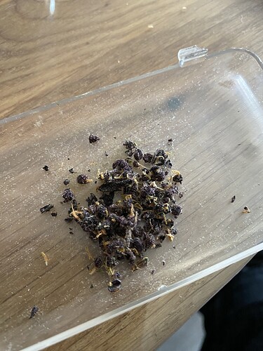 Growreport Bild 19