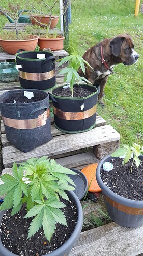 Growreport Bild 14