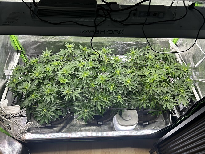 Growreport Bild 16