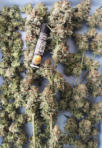 Growreport Bild 22