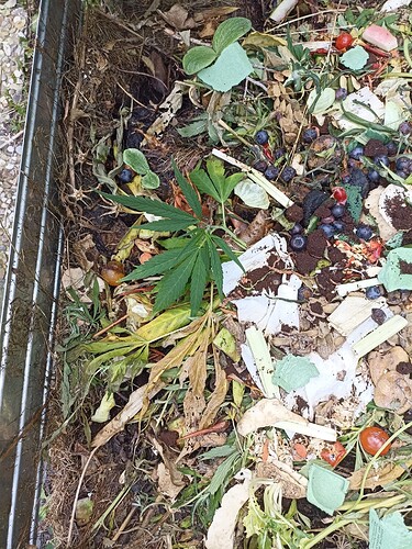 WhatsApp Bild 2024-09-02 um 12.19.41_e68db760