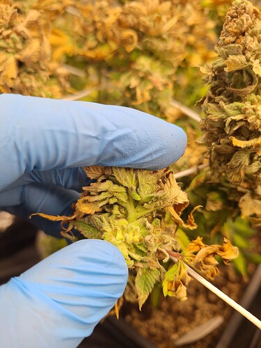 Growreport Bild 12