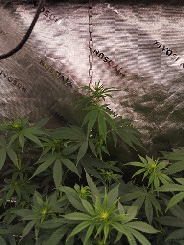Growreport Bild 11