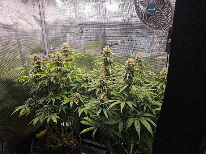 Growreport Bild 13