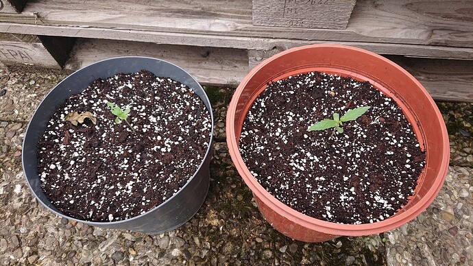 Growreport Bild 6