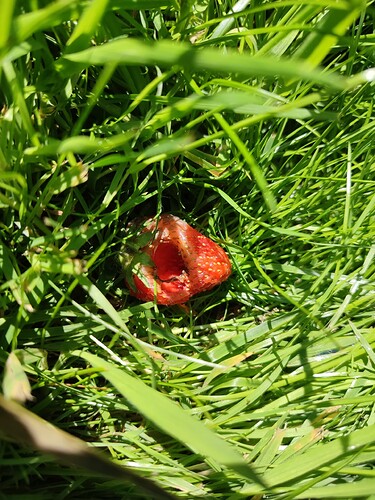 Growreport Bild 25