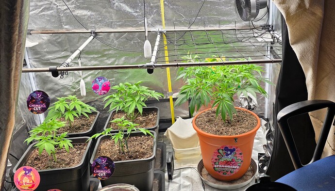 Growreport Bild 6